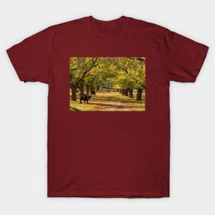 The Long Driveway - Almost Autumn T-Shirt